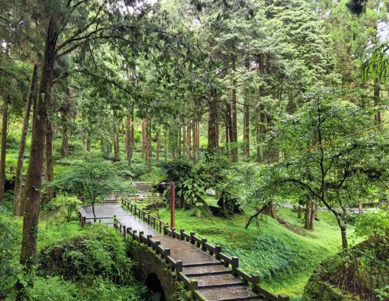 阿里山行程 阿里山行程