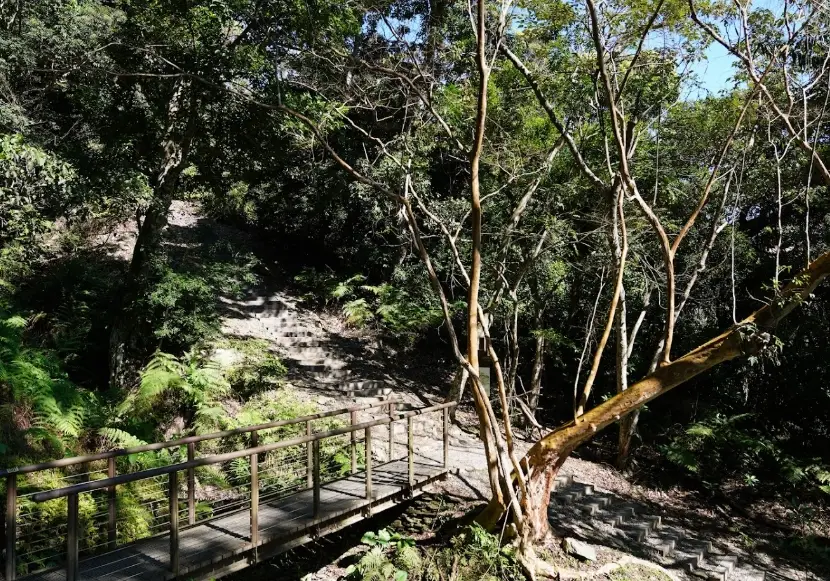 山區旅遊指南