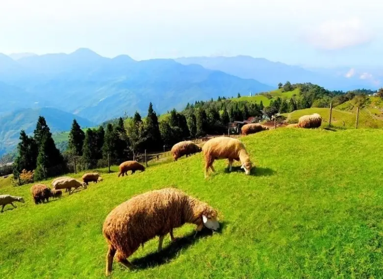 南投兩天一夜住宿攻略：精選民宿與行程規劃，輕鬆玩遍山城美景