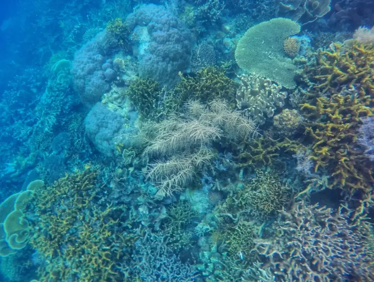 長灘島必玩