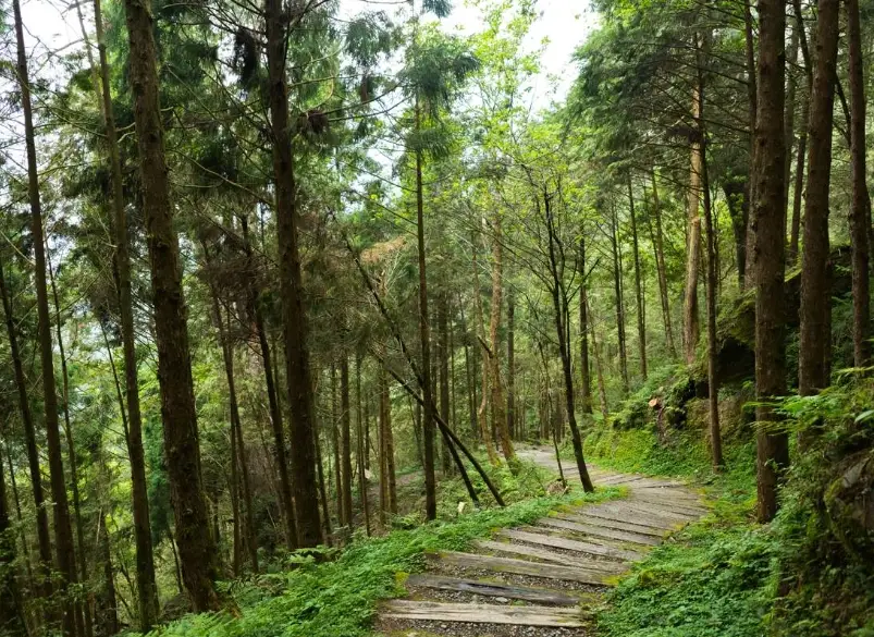 台七甲線景點 台七甲線景點