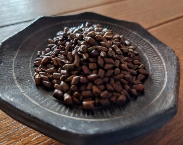 決明子茶副作用