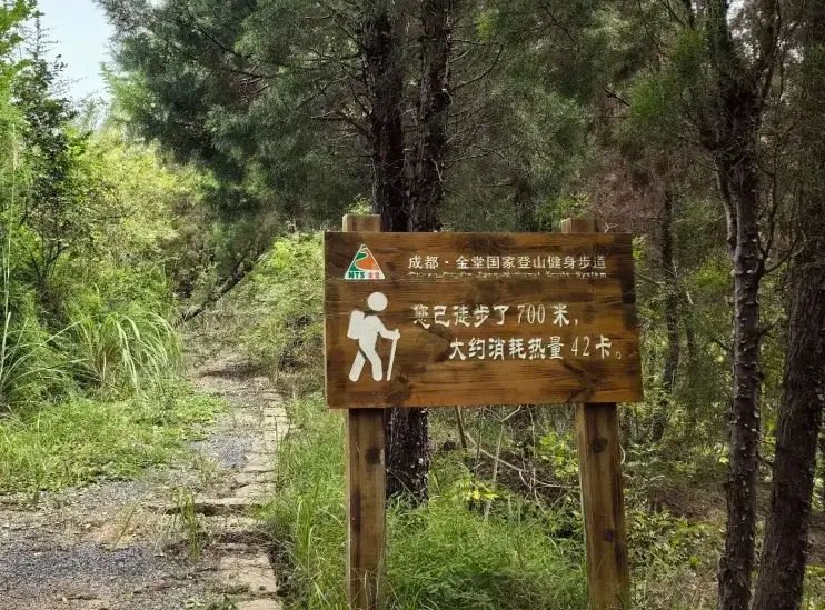 鳶山岩