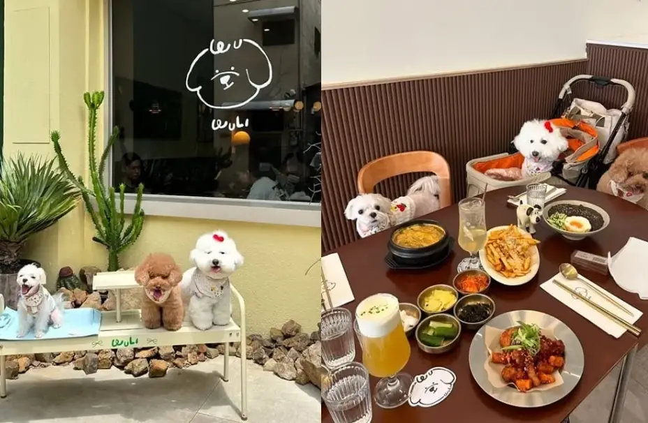 宜蘭帶狗餐廳 宜蘭帶狗餐廳