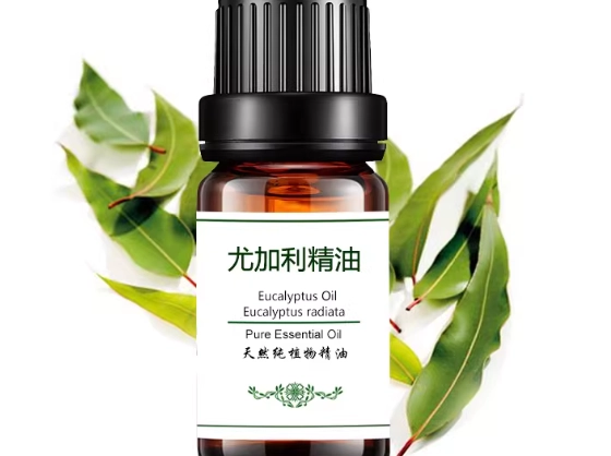 尤加利精油安全使用