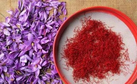 藏紅花功效
