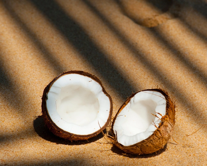 分餾椰子油頭髮保養指南：告別毛躁、強化髮質的3個關鍵步驟