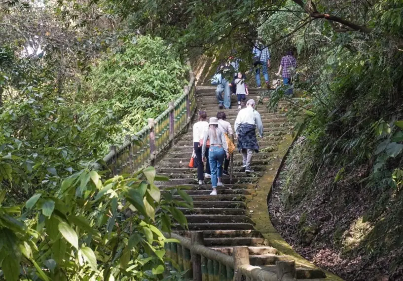 蘆竹景點
