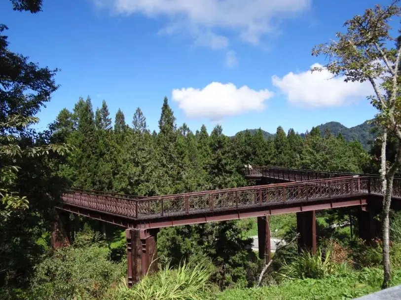 阿里山旅遊