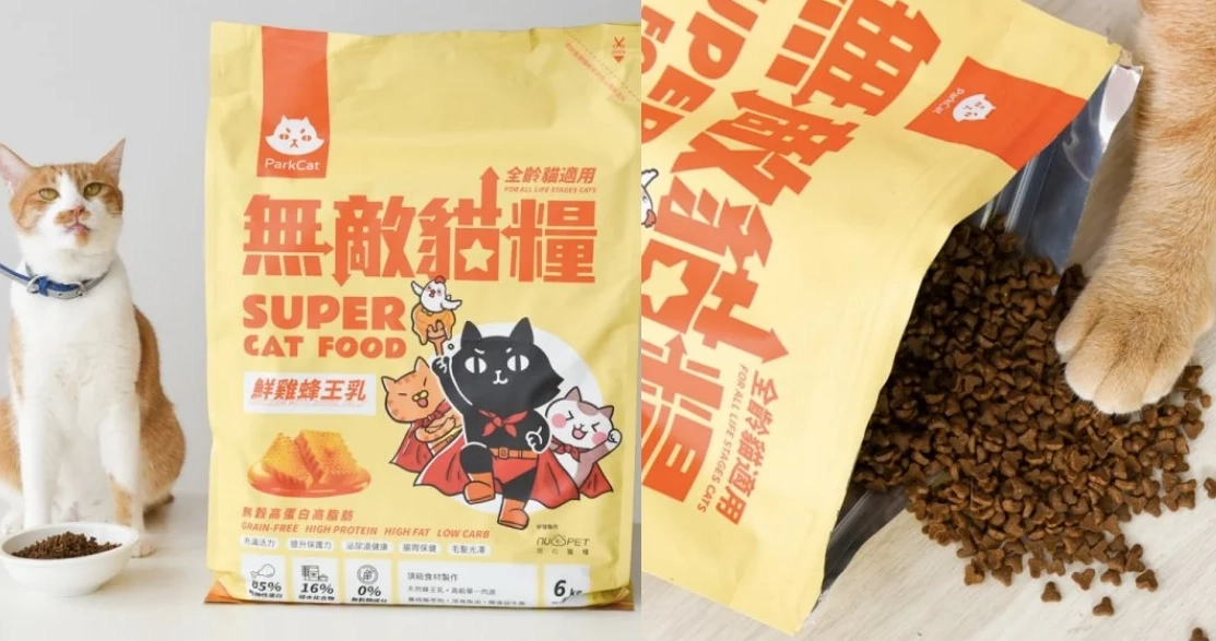 貓咪飼料推薦終極指南：獸醫與資深貓奴的選糧秘訣
