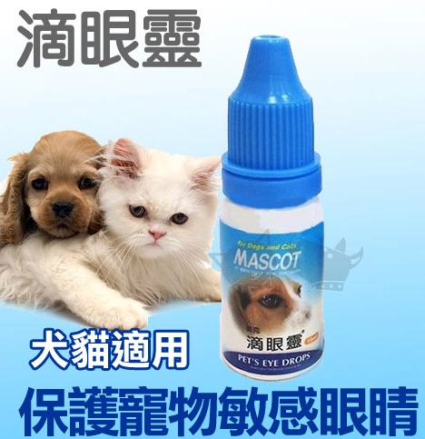 貓白內障眼藥水選購指南：資深貓奴的護理心得與常見錯誤提醒