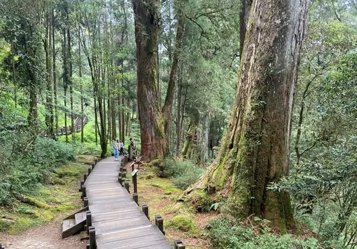 阿里山行程