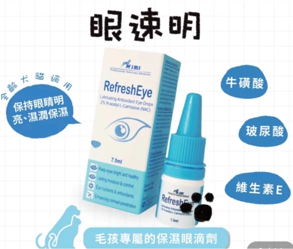 貓眼睛護理 貓眼睛護理