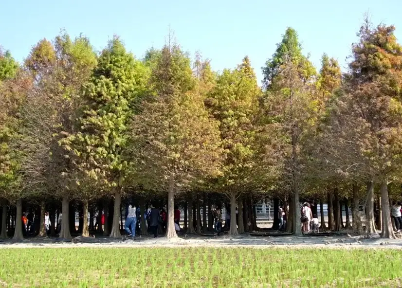 六甲旅遊