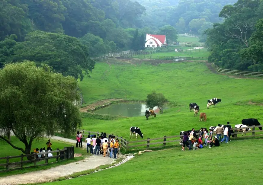 台灣環島自駕