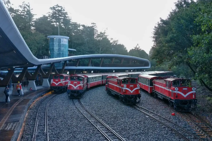 阿里山森林火車 阿里山森林火車