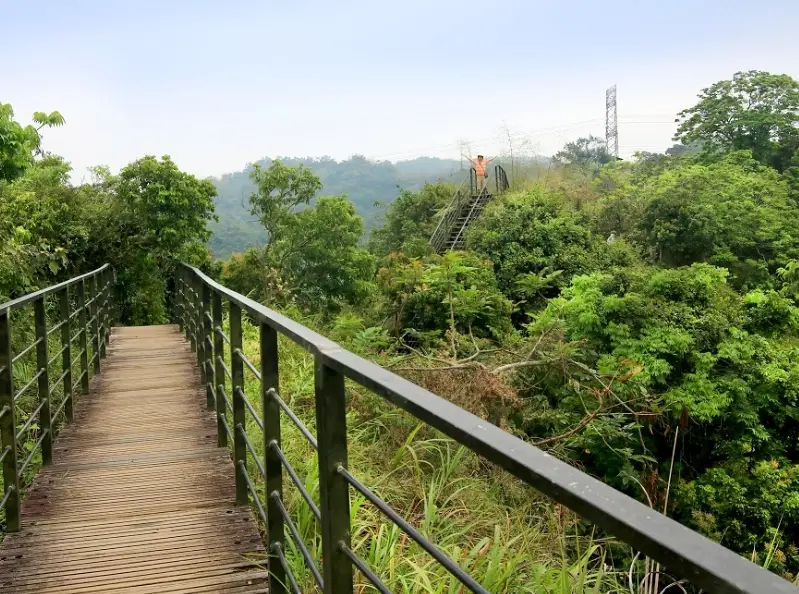 龍過脈森林步道怎麼去