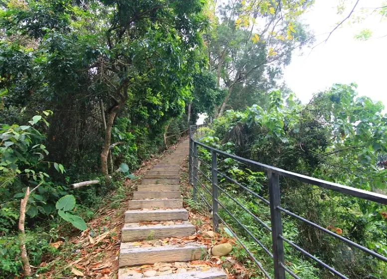 龍過脈森林步道走多久？完整路線解析與時間規劃攻略