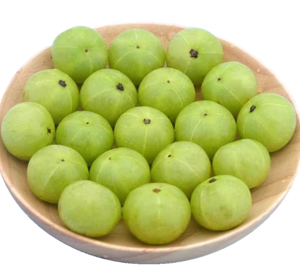 新鮮油甘果