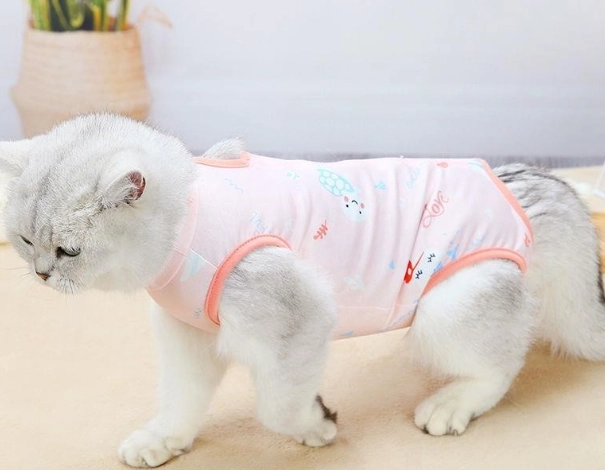 母貓結紮後變兇
