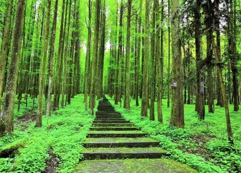 知本溫泉景點