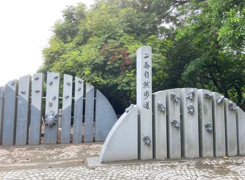 雲林二崙自然步道：親子健行首選，探索鄉間濕地生態與百年老樹