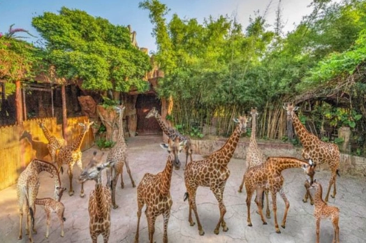 長鹿休博園停車