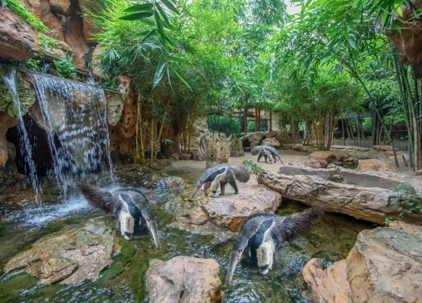 長鹿旅遊休博園怎麼去