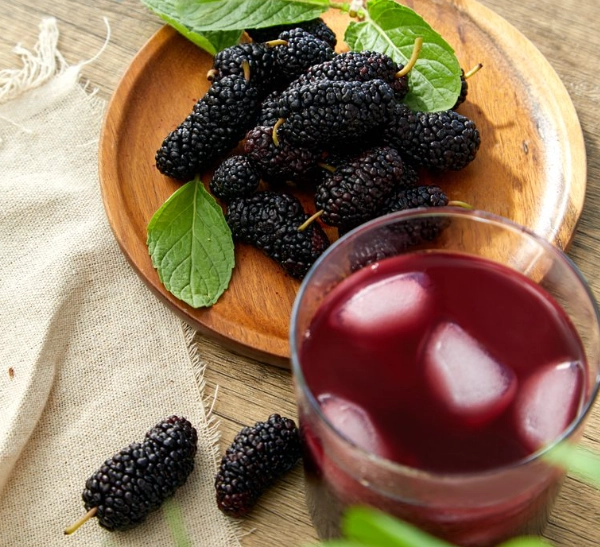 桑椹汁哪裡買？5大選購秘訣與3家私藏店家推薦
