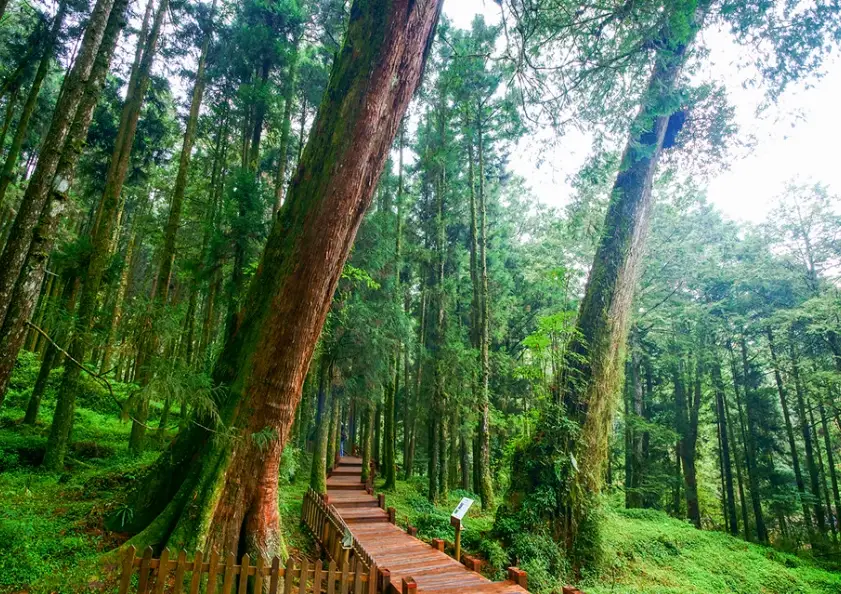 雲嘉南旅遊