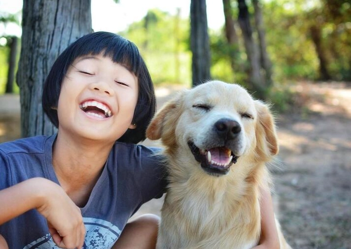 高齡犬年齡