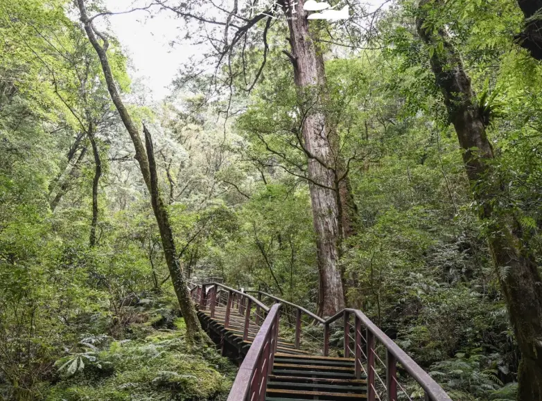拉拉山一日遊