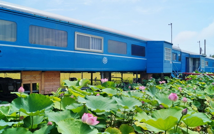 後龍必吃餐廳