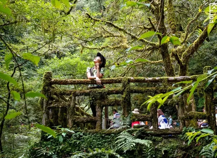 拉拉山步道