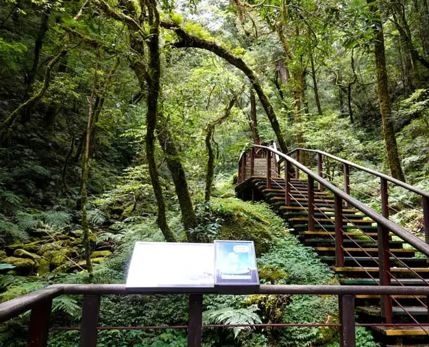 拉拉山步道