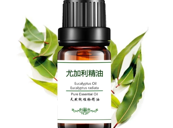 尤加利精油擴香