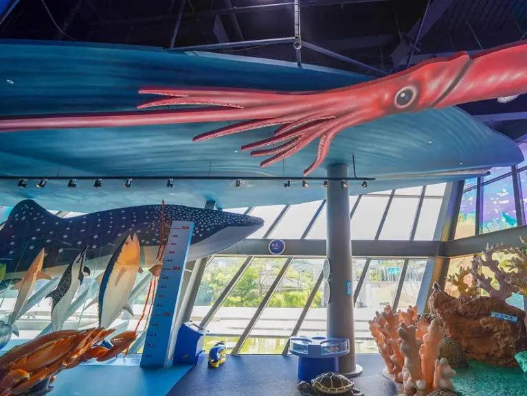 海科館優惠門票 海科館優惠門票