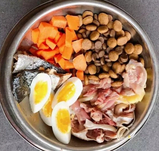 狗狗鮮食食譜 狗狗鮮食食譜