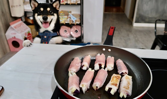生地瓜對狗的影響 生地瓜對狗的影響