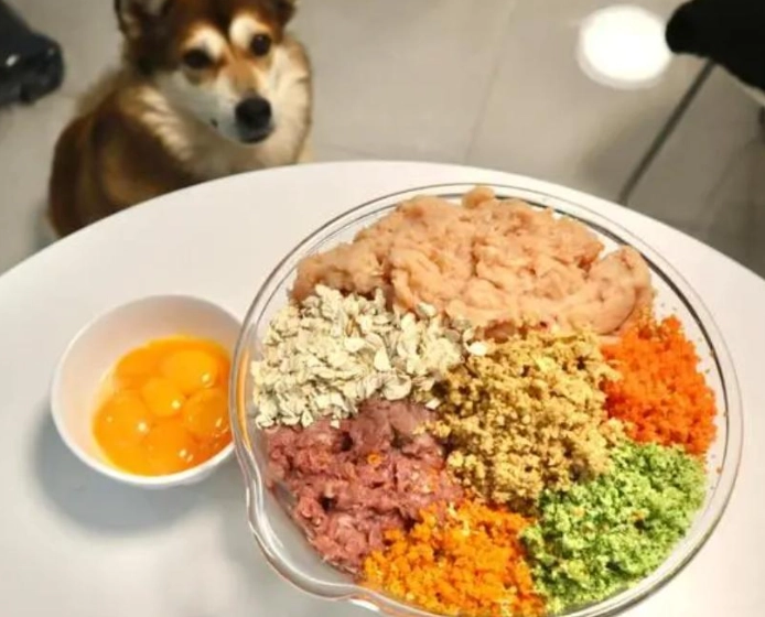 狗狗鮮食食譜 狗狗鮮食食譜