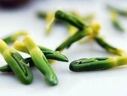 蓮子心有毒嗎？完整解析毒性真相與安全處理全攻略