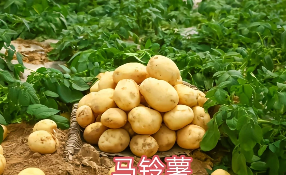 台灣料理推薦 台灣料理推薦