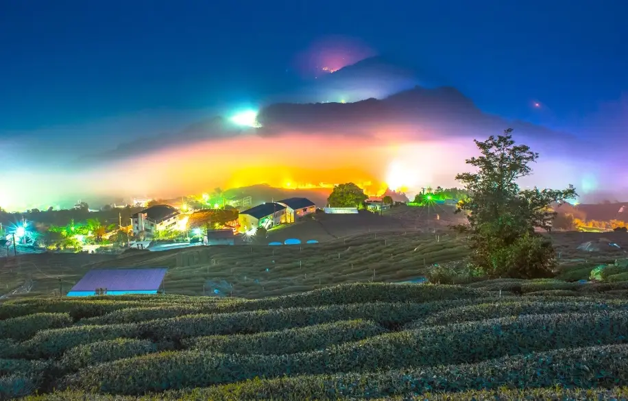 阿里山住宿推薦 阿里山住宿推薦