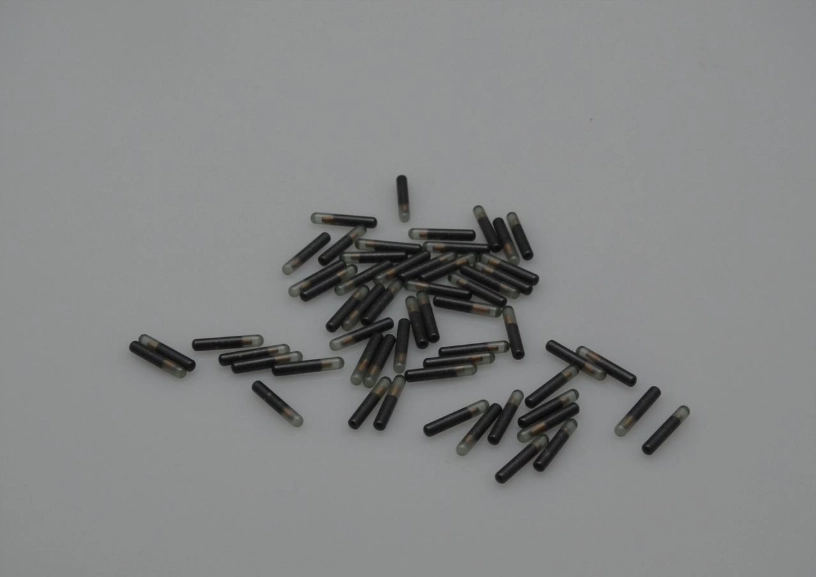 寵物晶片轉移 寵物晶片轉移