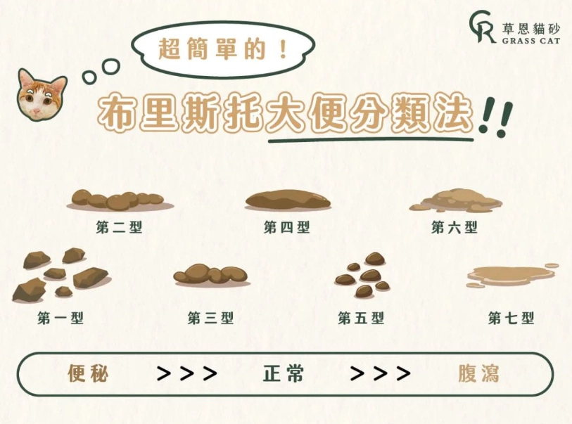 貓咪拉肚子怎麼辦