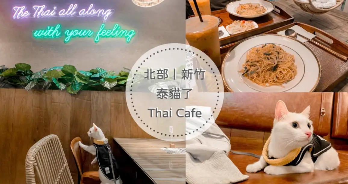 新竹帶貓餐廳