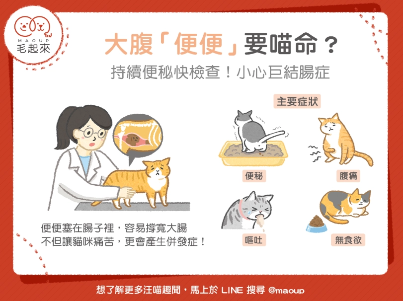 貓軟便治療