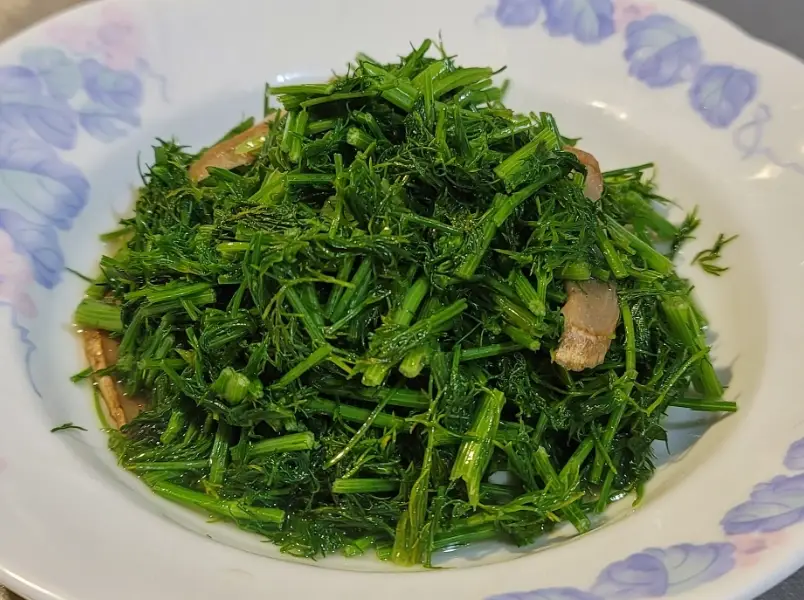 茴香料理 素食 茴香料理 素食