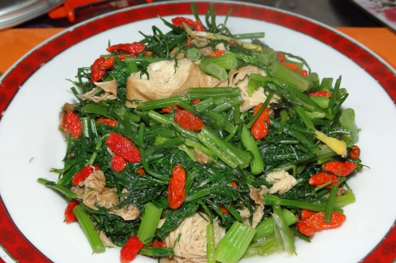 茴香料理 素食 茴香料理 素食