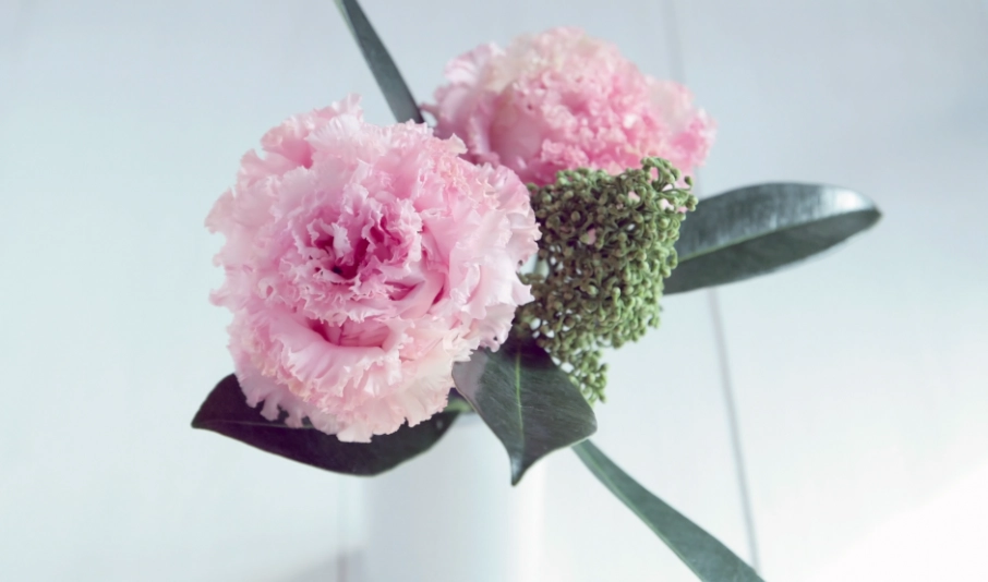 代表永恆的愛的花